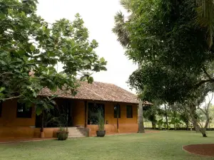 키린디 패디 아일