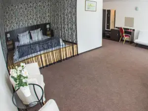 Aster Hotel-Zuro