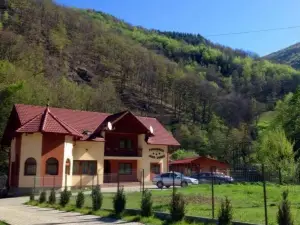 Pensiunea Silva Dobra