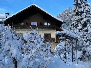 Naturgut Gailtal