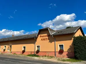Penzion Aneta