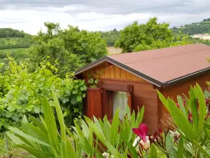 Valentina Guest House at Pintar Wine Estate