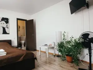 Astoriya Mini-Hotel