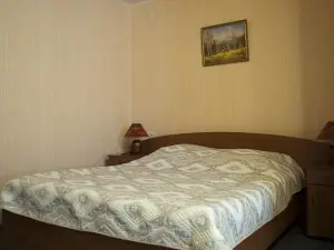 Спутник