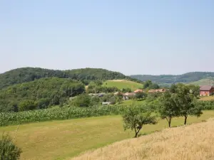 Pensiunea Rosia