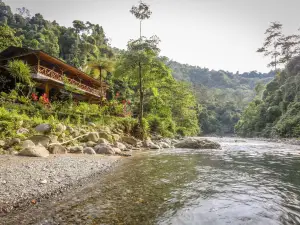 Back to Nature Ecotourism