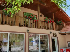 Cabana Sarmis Costesti