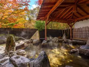 龜乃井酒店日光湯西川