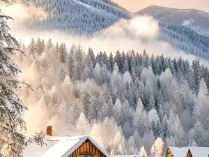 林田雅舍·Dovia獨野設計師民宿（禾木橋店）