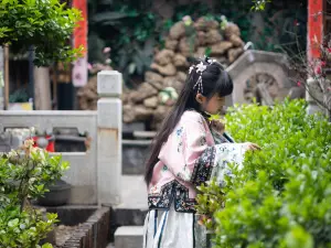 Yuhuaige Courtyard Homestay (also known as Pingyao Store in Pingyao Ancient City)