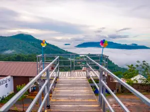 ไร่ซัวย่าง