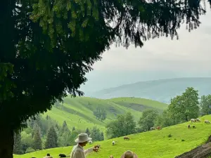 豐寧格桑花·雲畔Retreat全景美宿（大灘鎮店）
