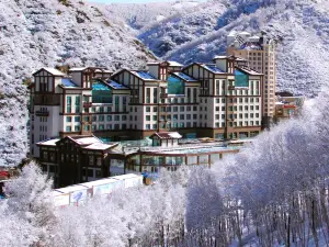 Dragon Palace Hotel (Wanlong Ski Resort)