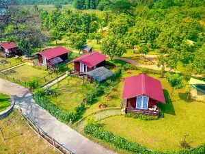 Palette - Anchaviyo Resort