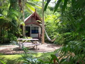 Magnums Airlie Beach – Adults only