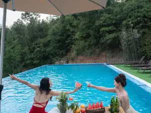 Lishan Left Bank Ring Mountain Wild Luxury Private Hot Spring Homestay
