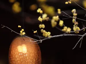 臨潮公寓（海寧鹽官觀潮景區店）