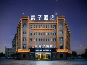 Shanshan Maizi Hotel (Kumutage Desert)