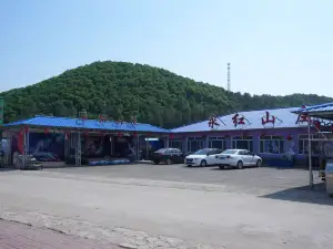 Yonghong Hotel