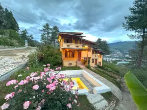 Dzi Pema