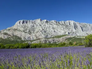 Campanile Nature - Aix En Provence Meyreuil