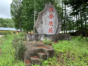 丰林兴安鹿苑