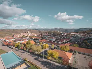 Hotel Freixo Douro Superior