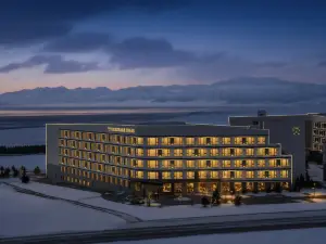 サリム湖観光地・塔瑪暇爾ホテル