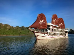 V'Spirit Cruises