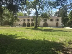 Celinatura