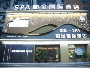 Platinum International Hotel (Tongjiang Russian Style Park Branch)