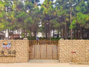 Qiantian Songsu Forest Camping Base