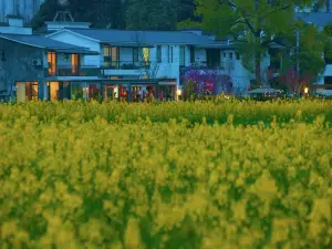 新鄉里·茶室民宿