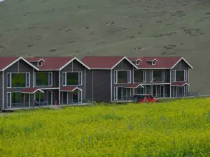 Sunan Suixi Xiangxuan Homestay