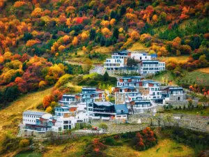 黑水嘎爾莊園