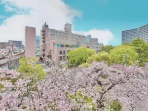 Minamisenri Crystal Hotel
