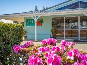 Aloha Apartments