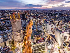 Cerulean Tower Tokyu Hotel, A Pan Pacific Partner Hotel