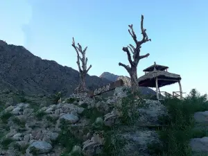 Helan Mountain Rock Art Ancient Village Ancient Forest Homestay