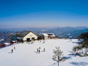 휘닉스 호텔 평창