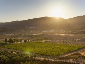 Banyan Tree Veya, Valle de Guadalupe