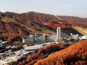 Phoenix Resort Pyeongchang