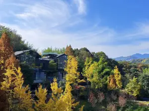 Qingcheng Mountain Suxi Qingshan Forest Homestay
