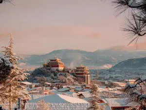 S | Jinyuan Private Soup · Rich Oxygen Smart Hotel (Shangri La Dukezong Ancient City Branch)