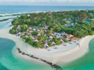 The Maverick Surf and Dive Boutique Hotel