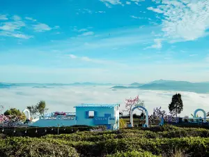 Cloud9 and Cloud View Glamping