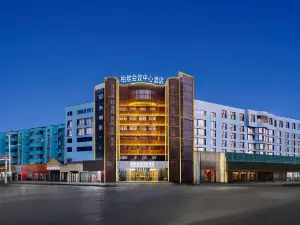 Pavilion Conference Center Hotel (Puyang Ginza Mall)