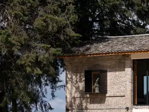 Phoenix Mist Retreat | Dali Wuliang Tea Forest Resort