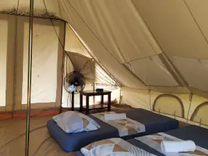 The Acacia Glamping Park