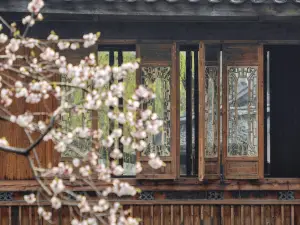 Yanguan Chaolezhicheng Pipa Chinese Inn